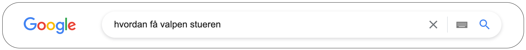 Søkemotoren i Google, med søketermen: "hvordan få valpen stueren".
